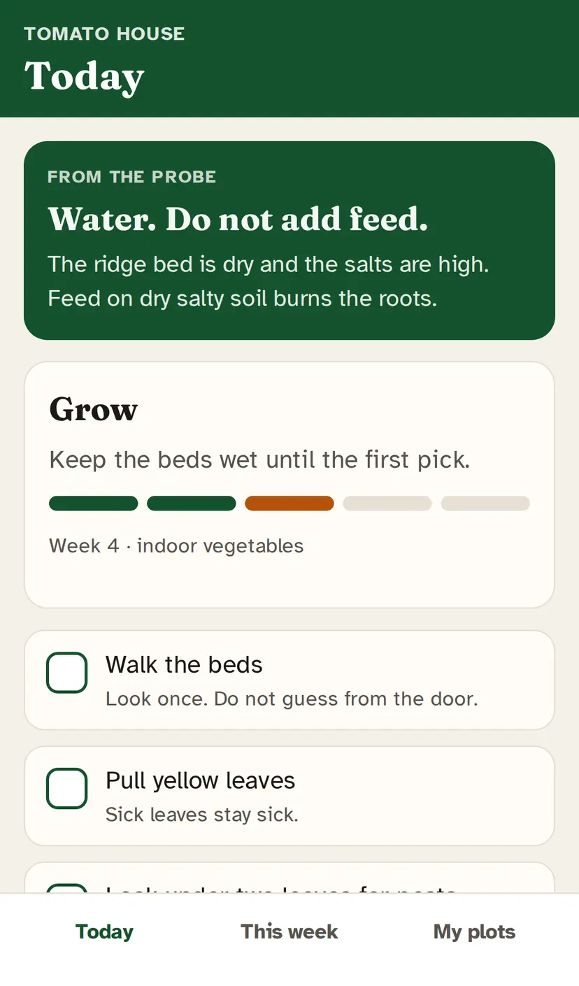iPhone Field app, Today. Tomato house. Green card from the probe: Water. Do not add feed. The ridge bed is dry and the salts are high. Stage Grow, week 4, indoor vegetables. Tap list: Walk the beds, Pull yellow leaves. No percentages on this screen. Simulated farm.